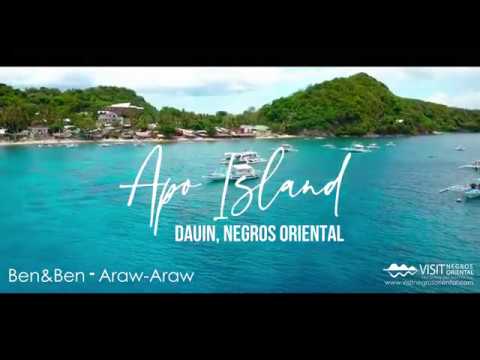 Apo Island Dauin, Negros Oriental