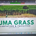 Video Summit on Suma Grass Plantation with RRCC & NOCCI