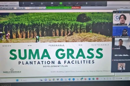 Video Summit on Suma Grass Plantation with RRCC & NOCCI